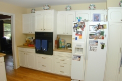 Kitchen ref oven